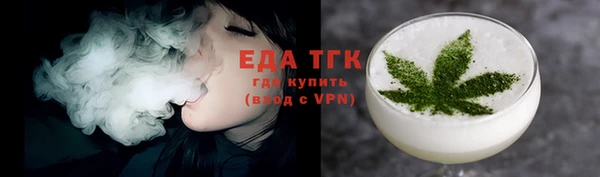 гидра Вязьма