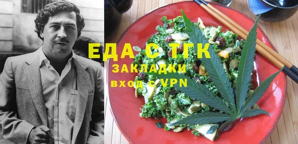 гидра Вязьма