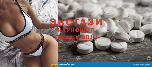 гидра Вязьма