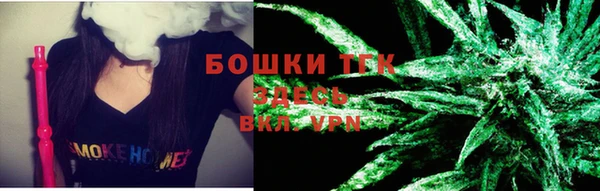 гидра Вязьма